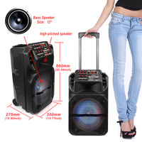 Thumbnail for Portable Bluetooth PA Speaker System with 12