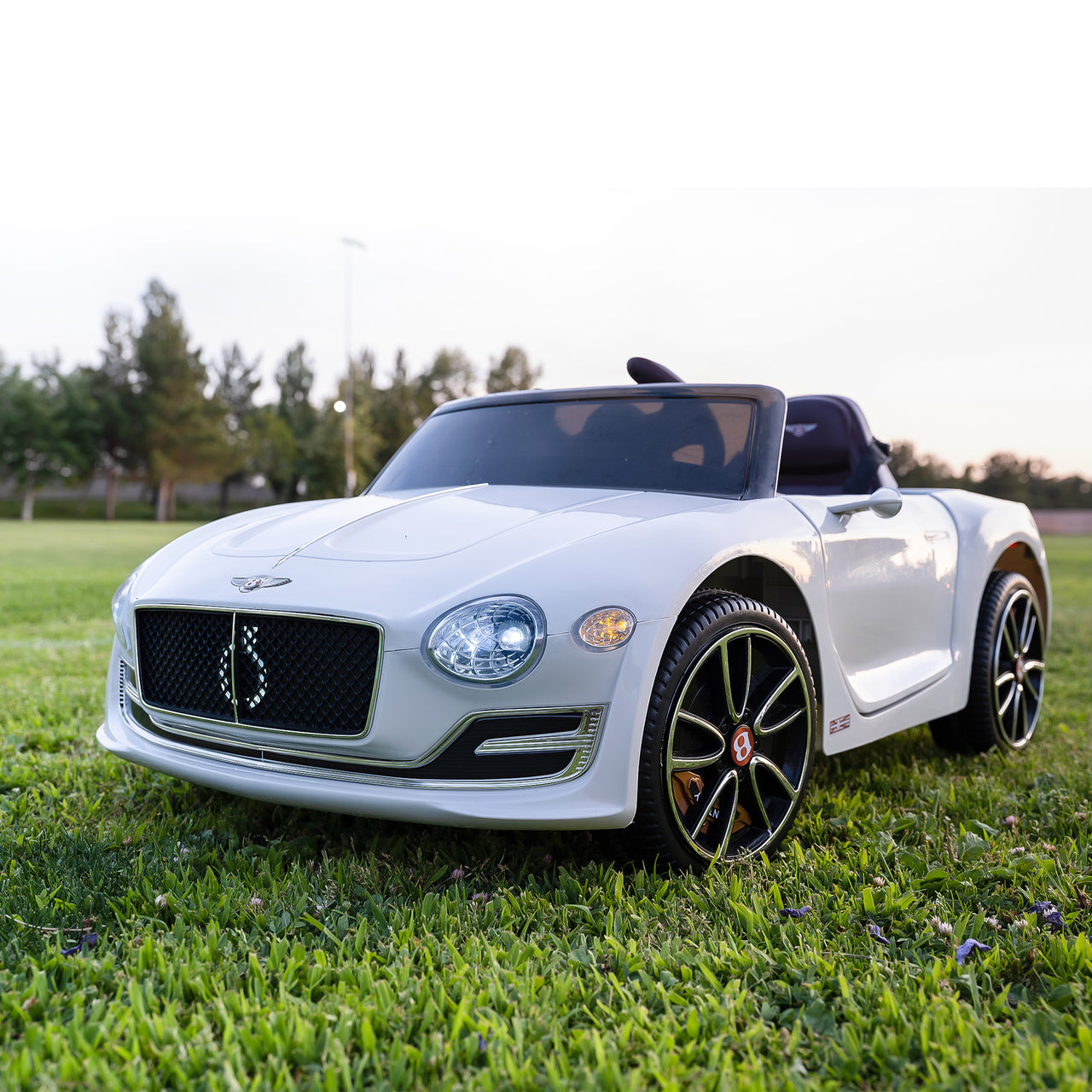 12V Electric Kid car with Parent Remote