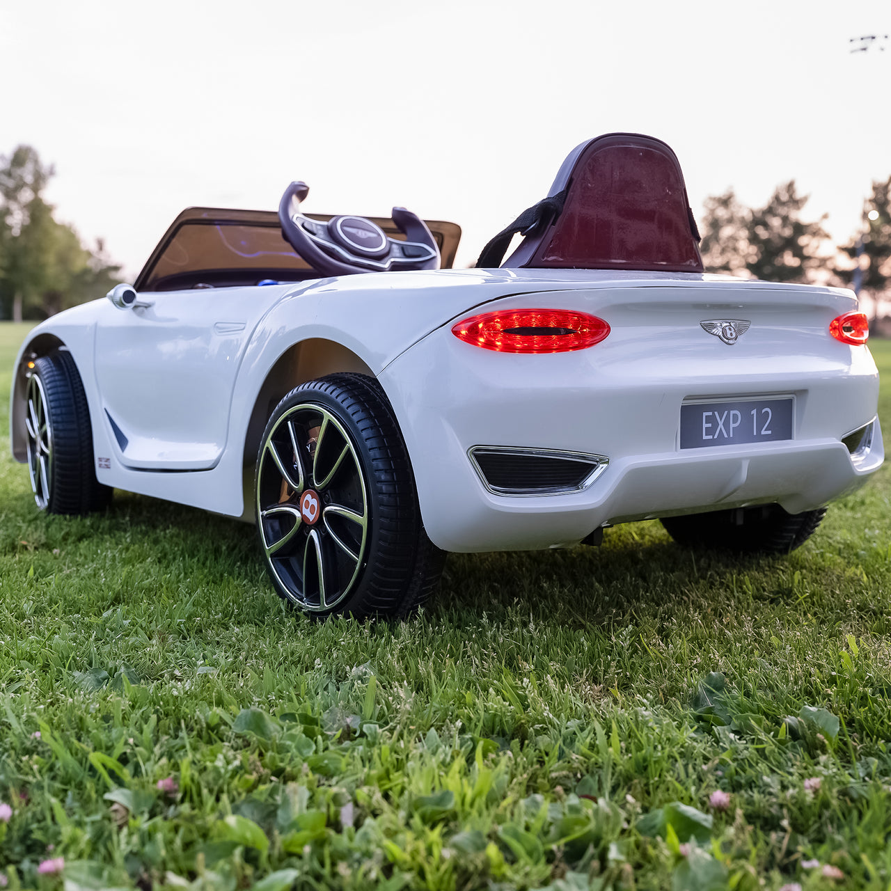 12V Electric Kid car with Parent Remote